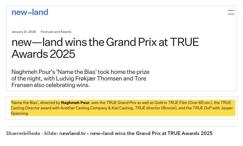 TRUE Awards 2025 – Grand Prix: Name the Bias
