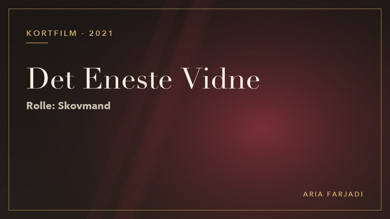 Det Eneste Vidne (True Crime)