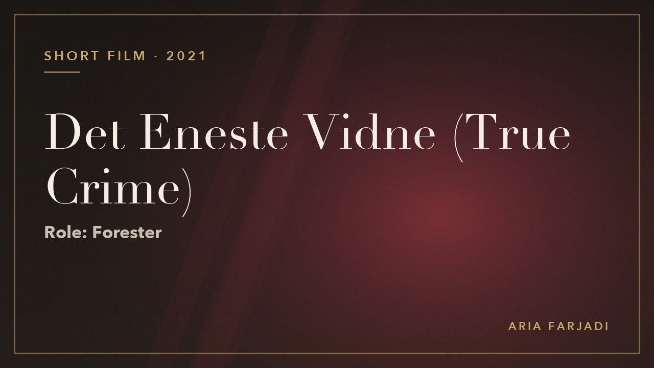 Det Eneste Vidne (True Crime)